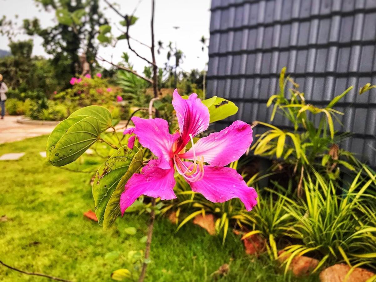 Kampot Tropical Village Экстерьер фото